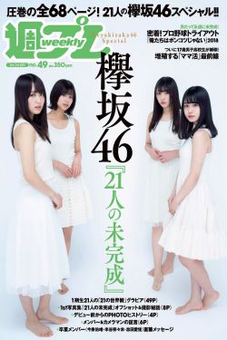 金瓶双艳HD完整版